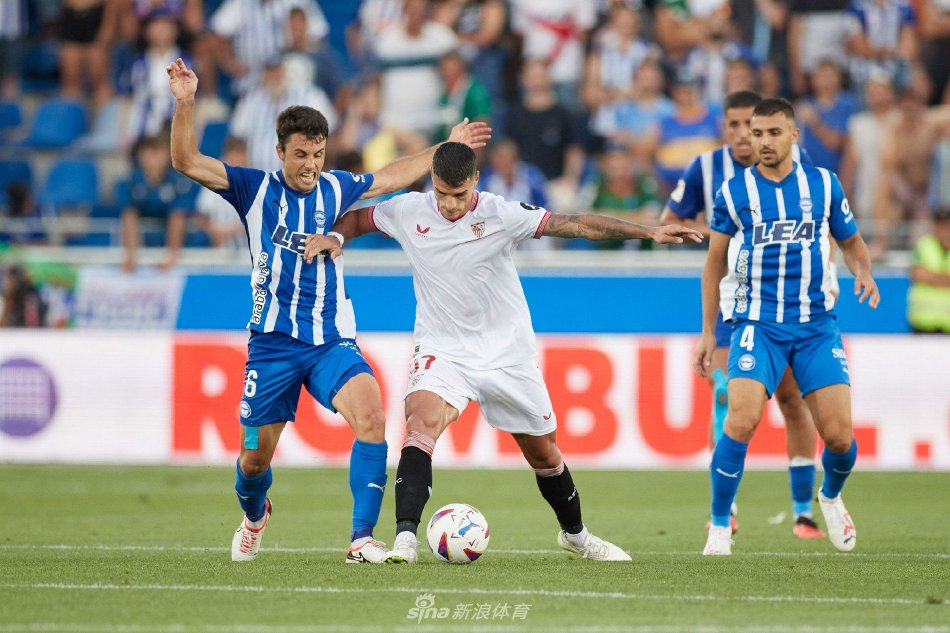 仅是运动成 仅是运动成