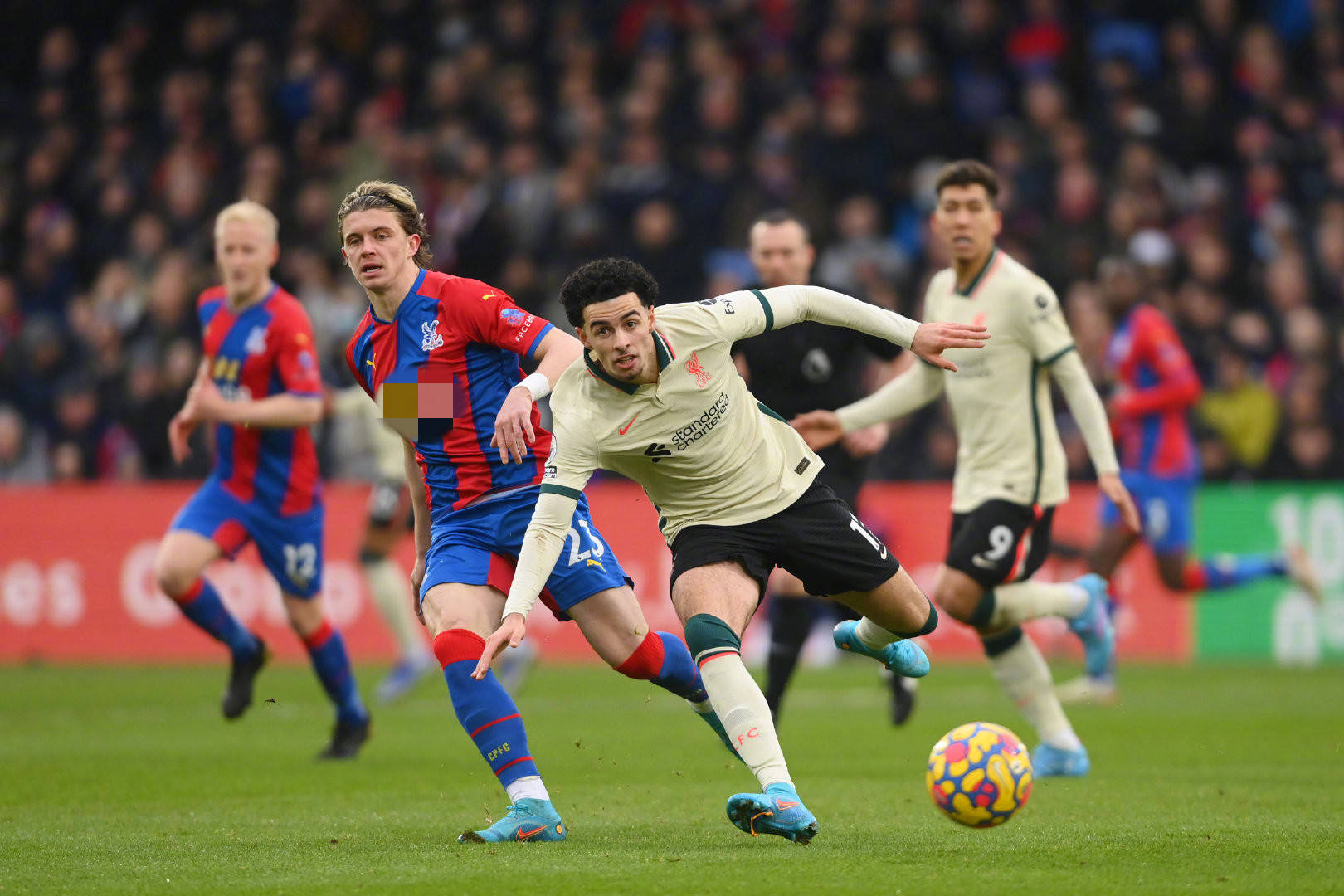 若在东契奇 若在东契奇